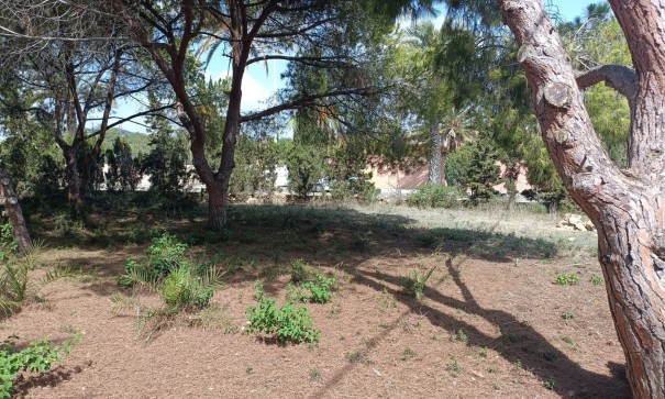 Videresalg - Grund Jord -
Cabo Roig