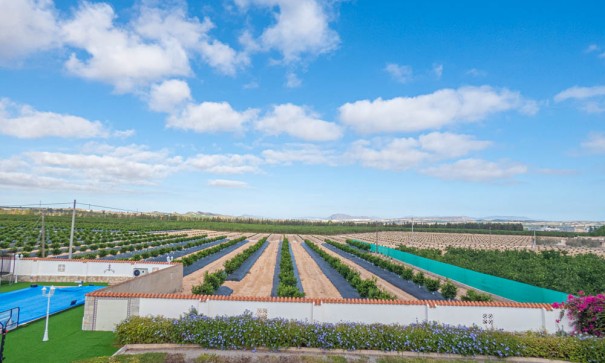 Venta - Chalet Independiente -
San Miguel de Salinas