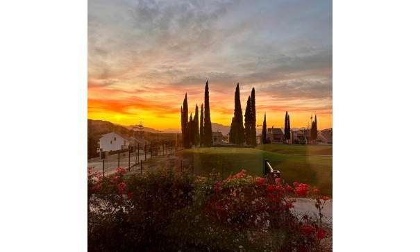 Sprzedaż - Willa wolnostojąca -
La Finca Golf - La Finca Golf and Spa Resort