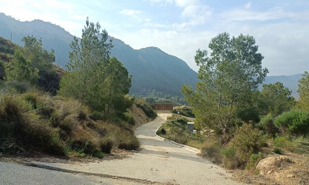 Återförsäljning - Finca lantlig egendom -
Gea y Truyols