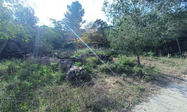 Återförsäljning - Finca lantlig egendom -
Gea y Truyols