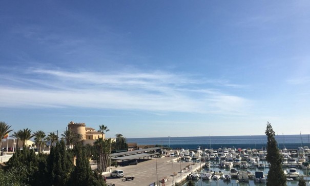 Nowa konstrukcja - Willa wolnostojąca -
Pilar de la Horadada - Las Higuericas