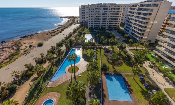 Sprzedaż - Apartament mieszkanie -
Torrevieja - Punta Prima