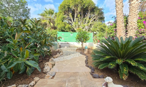 Wynajem długoterminowy - Apartament mieszkanie -
Orihuela Costa - Villamartín