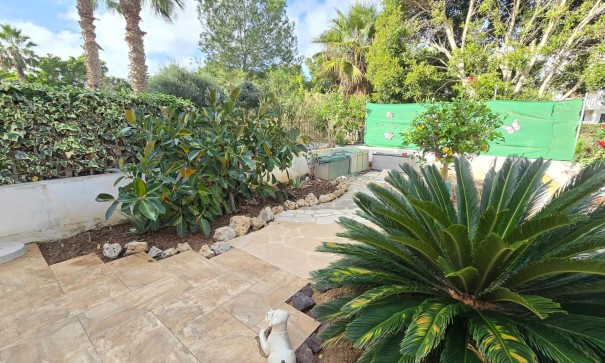 Wynajem długoterminowy - Apartament mieszkanie -
Orihuela Costa - Villamartín