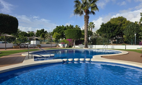 Wynajem długoterminowy - Apartament mieszkanie -
Orihuela Costa - Villamartín