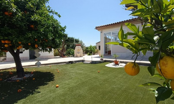 Sale - Finca Country Property -
Albatera