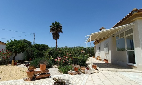 Sale - Finca Country Property -
Albatera