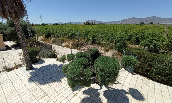 Sale - Finca Country Property -
Albatera