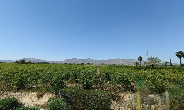 Sale - Finca Country Property -
Albatera