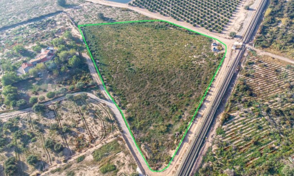 Sprzedaż - Finca nieruchomość wiejska -
Crevillent - Comunidad valenciana