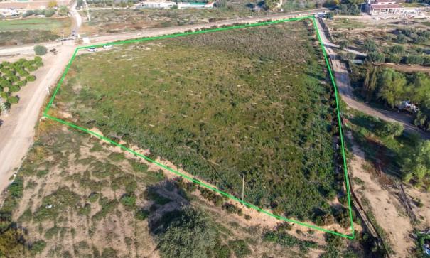 Sprzedaż - Finca nieruchomość wiejska -
Crevillent - Comunidad valenciana