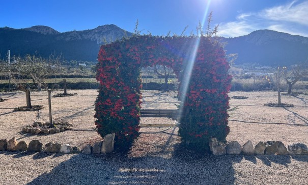 Återförsäljning - Finca lantlig egendom -
La Zarza