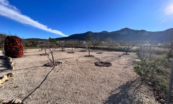 Återförsäljning - Finca lantlig egendom -
La Zarza