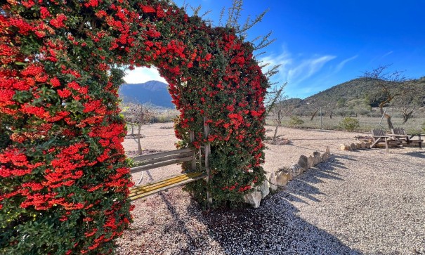 Återförsäljning - Finca lantlig egendom -
La Zarza