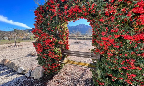 Återförsäljning - Finca lantlig egendom -
La Zarza