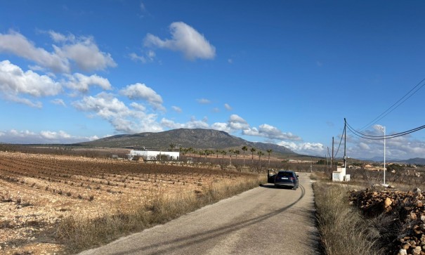 Återförsäljning - Vomt Mark -
Pinoso - el Pinós / Pinoso