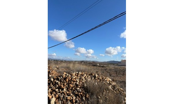 Återförsäljning - Vomt Mark -
Pinoso - el Pinós / Pinoso