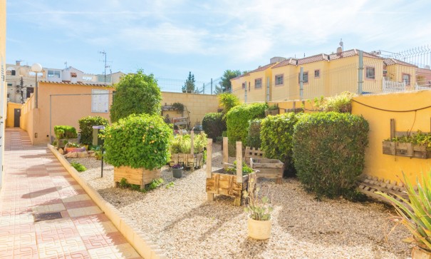 Sprzedaż - Apartament mieszkanie -
Torrevieja - El chaparral