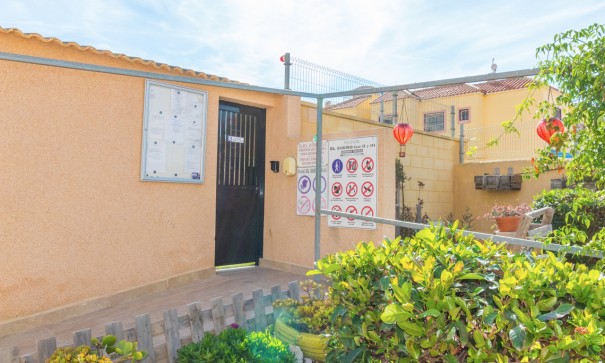 Sprzedaż - Apartament mieszkanie -
Torrevieja - El chaparral