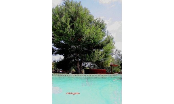 Sale - Detached Villa -
Gea y Truyols