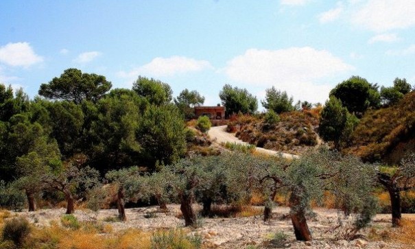 Sale - Detached Villa -
Gea y Truyols