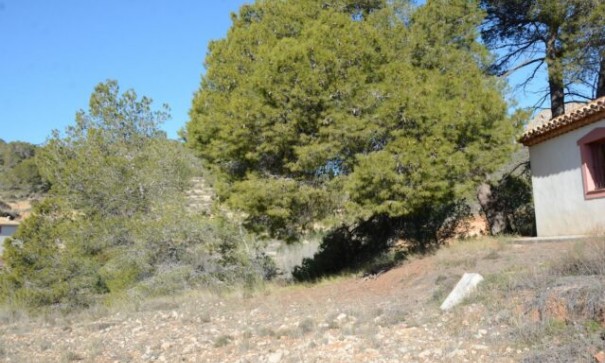 Sprzedaż - Willa wolnostojąca -
Monóvar