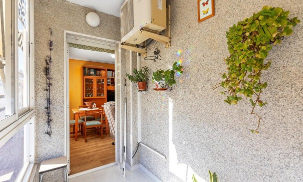 Venta - Apartamento piso -
Torrevieja - Estacion de autobuses