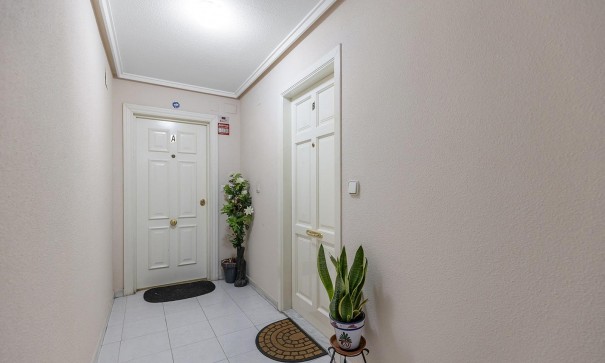 Venta - Apartamento piso -
Torrevieja - Estacion de autobuses