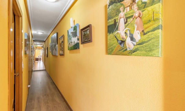 Venta - Apartamento piso -
Torrevieja - Estacion de autobuses