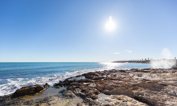 Venta - Apartamento piso -
Torrevieja - Estacion de autobuses