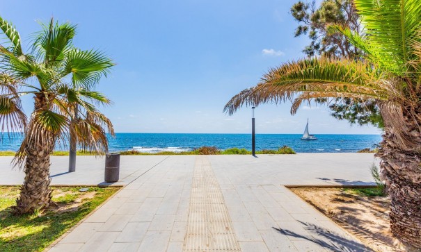 Venta - Apartamento piso -
Torrevieja - Estacion de autobuses