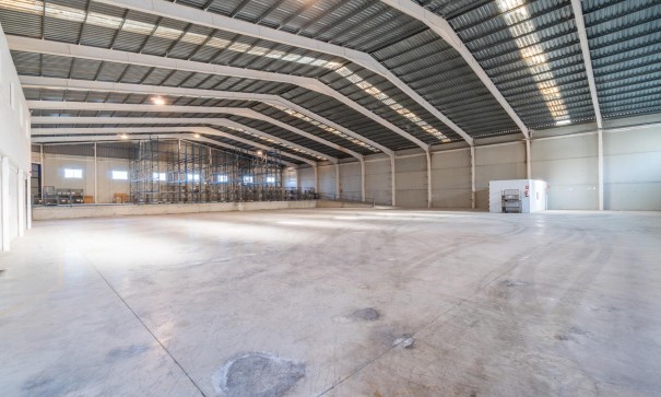 Long time Rental - Kommerciel -
Pilar de la Horadada - Polígono industrial Cañada de Práez