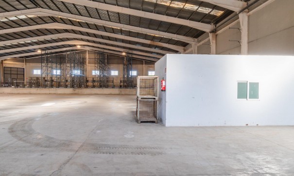 Long time Rental - Kommerciel -
Pilar de la Horadada - Polígono industrial Cañada de Práez