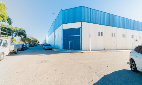 Long time Rental - Kommerciel -
Pilar de la Horadada - Polígono industrial Cañada de Práez