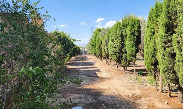 Återförsäljning - Fristående villa -
Villena