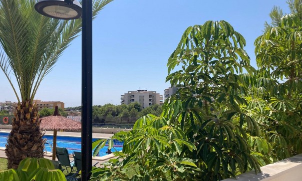 Venta - Apartamento piso -
Los Dolses