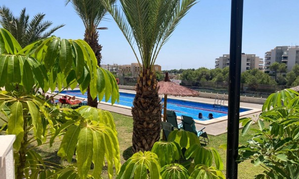 Venta - Apartamento piso -
Los Dolses