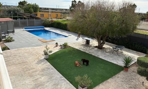 Sprzedaż - Willa wolnostojąca -
Crevillente