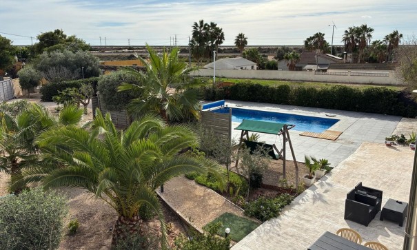 Sprzedaż - Willa wolnostojąca -
Crevillente