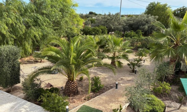 Sprzedaż - Willa wolnostojąca -
Crevillente