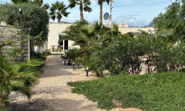 Sprzedaż - Willa wolnostojąca -
Crevillente