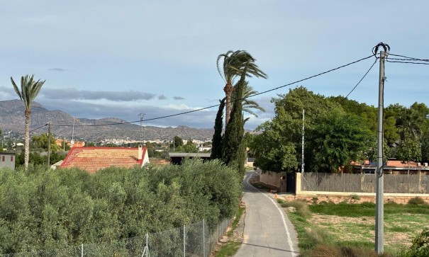 Sprzedaż - Willa wolnostojąca -
Crevillente