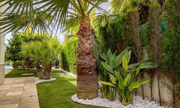 Herverkoop - Vrijstaande Villa -
La Zenia - Beachside