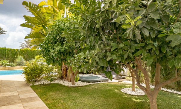 Herverkoop - Vrijstaande Villa -
La Zenia - Beachside