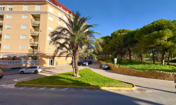 Herverkoop - Apartement Flat -
Guardamar del Segura - CENTRO