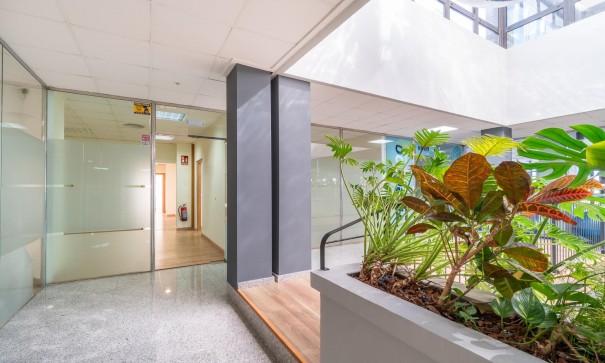 Location longue durée - Commercieel -
Orihuela Costa - Playa Flamenca