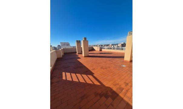 Venta - Apartamento piso -
Torrevieja