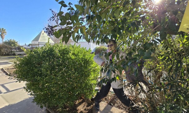 Venta - Chalet Independiente -
Villena