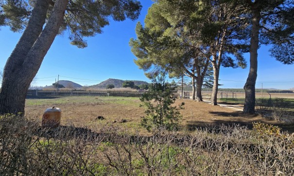 Venta - Chalet Independiente -
Villena